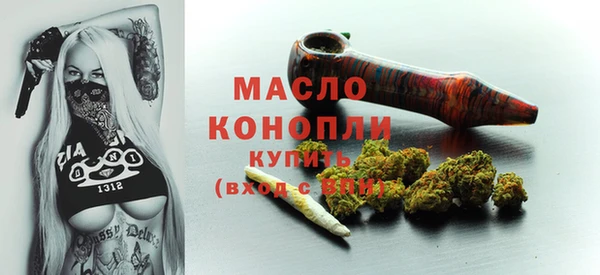 сатива Новозыбков