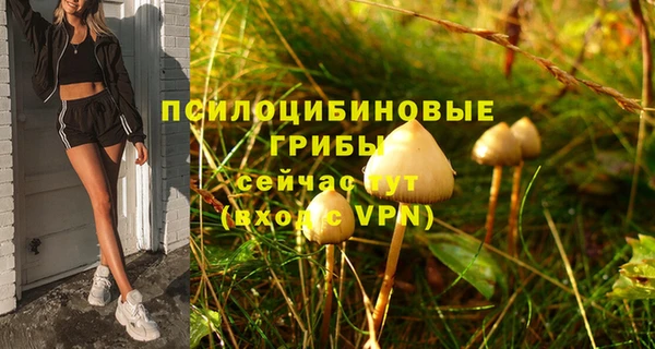 гашишное масло Новодвинск