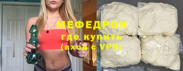 сатива Новозыбков