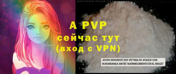 сатива Новозыбков