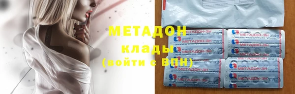 сатива Новозыбков