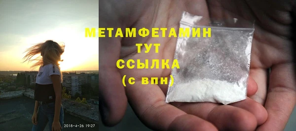 сатива Новозыбков