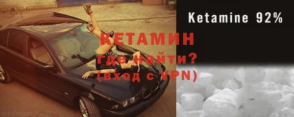 сатива Новозыбков