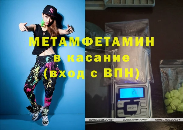 сатива Новозыбков
