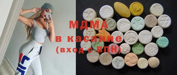 сатива Новозыбков
