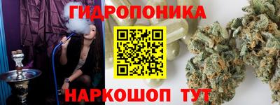 соль ск Бийск