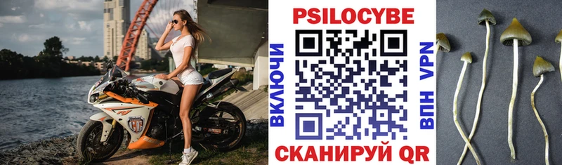 Галлюциногенные грибы GOLDEN TEACHER Владивосток