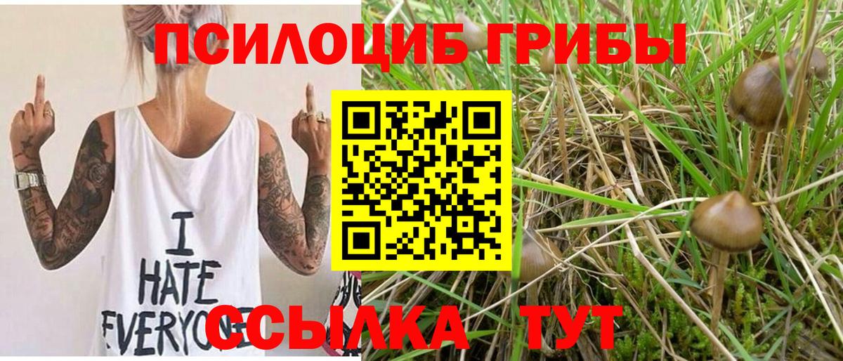 Галлюциногенные грибы Psilocybe Владивосток