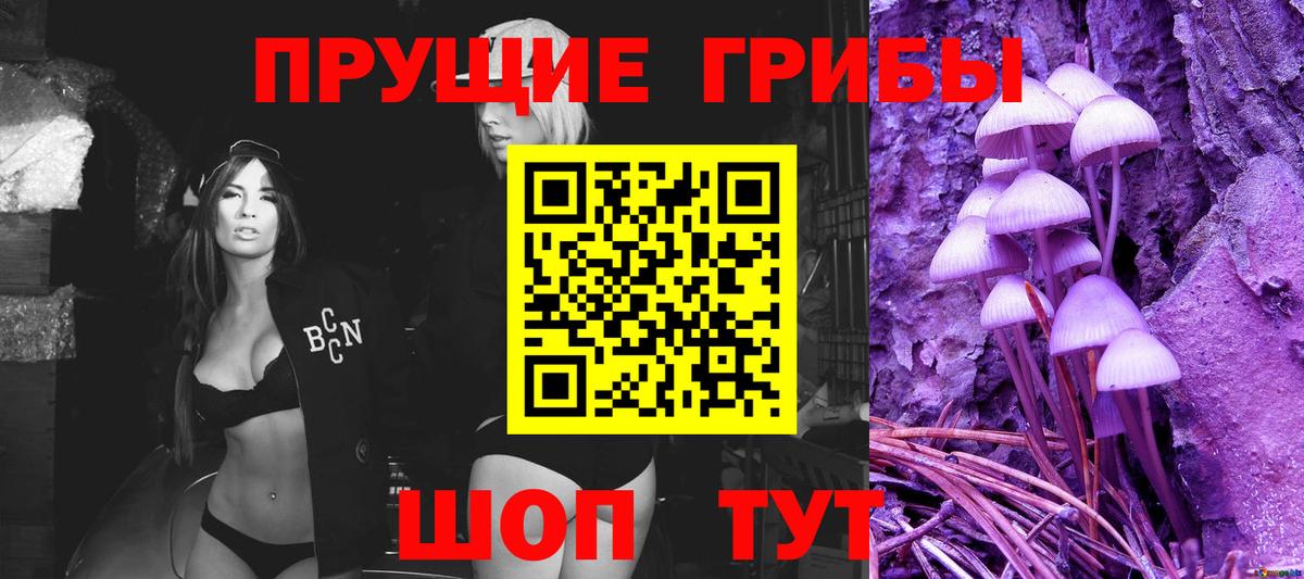 Псилоцибиновые грибы Psilocybine cubensis  Псилоцибиновые грибы Cubensis  Владивосток 